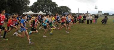 Collado Villalba acoge el XXXIII Trofeo de Cross con una participación de 1800 atletas