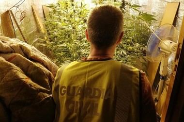 La Guardia Civil detiene a cuatro personas en Torrelodones por cultivar marihuana en un laboratorio