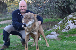 El naturalista Iván Lizcano presenta hoy su investigación sobre la ‘zorra tuerta’ que vive en La Jarosa