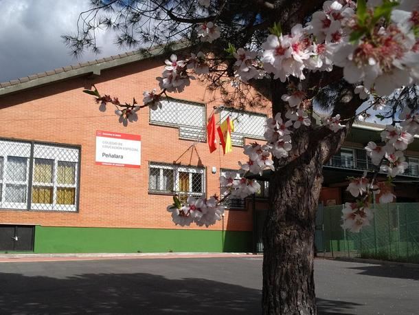 El Colegio Peñalara de Collado Villalba celebró su primer Consejo Escolar