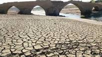 La emergencia medioambiental no es más grave que la emergencia democrática