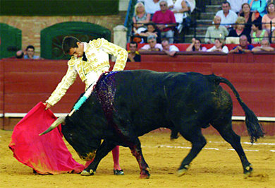 Carteles de la feria de Segovia