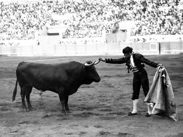 La Comunidad de Madrid homenajeará a Joselito ‘El Gallo’ en la Feria de San Isidro 2020