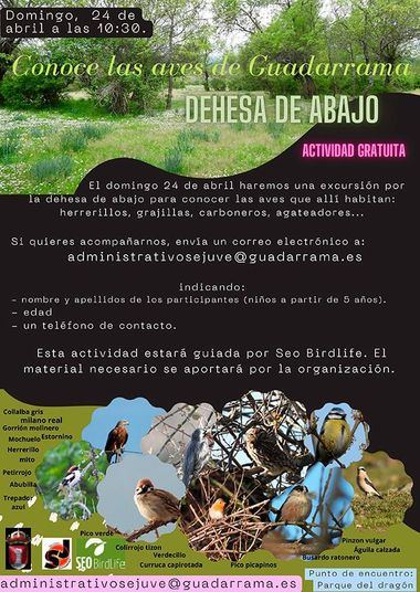 El Sejuve y Seo BirdLife organizan un recorrido por la Dehesa de Abajo para conocer las aves de Guadarrama