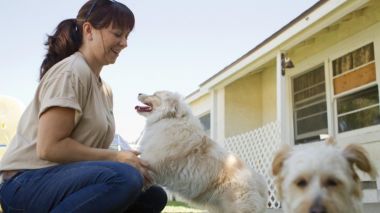 La Comunidad de Madrid organiza este fin de semana el XVII Salón de la Adopción de animales de compañía