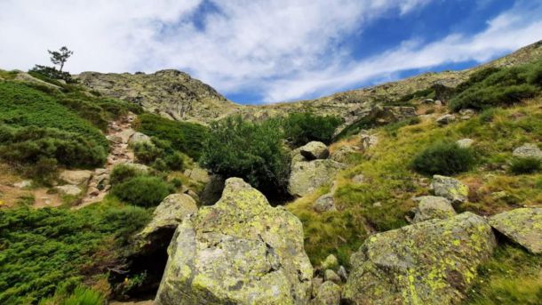 Tercera edición del libro que recopila las mejores rutas de naturaleza en Guadarrama y Somosierra