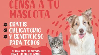 Boadilla tiene 1793 mascotas censadas, 656 desde el año pasado