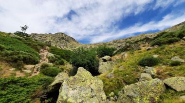 Sigue en directo a una pareja de águilas calzadas en la Sierra de Guadarrama