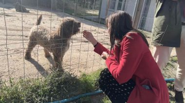 Majadahonda invierte en la mejora del Centro Integral Canino