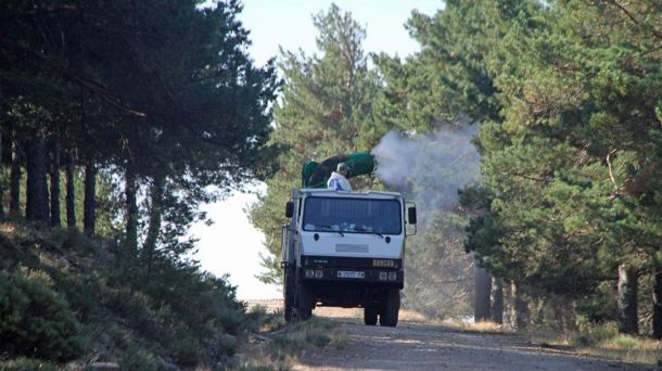 Guadarrama solicita a la Comunidad de Madrid nuevas acciones de limpieza y conservación en el monte pinar