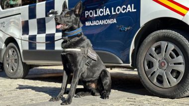 Rayo, el perro-policía antidroga de Majadahonda