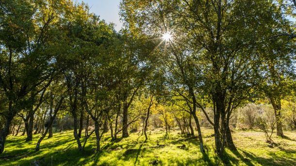 La Comunidad de Madrid inicia el trámite para ampliar un 14% el Parque Nacional Sierra de Guadarrama