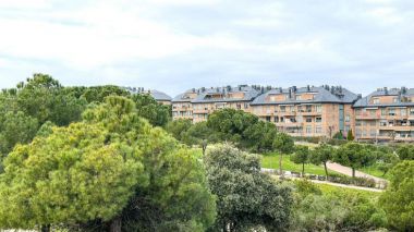 Naciones Unidas reconoce a Majadahonda como "Tree city of the world"