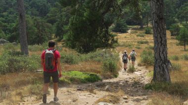 Cuatro nuevas Rutas Verdes para disfrutar de la naturaleza y la historia de la región