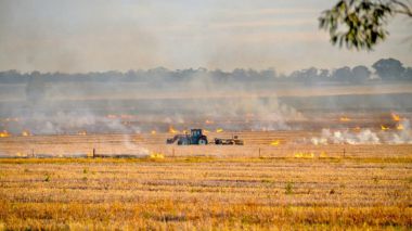 La Comunidad de Madrid se persona como acusación particular contra el presunto autor de varios incendios