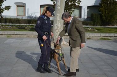 Presentan a Balto, el nuevo perro de la Policía Local de Villanueva de la Cañada