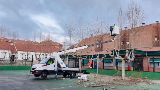 Galapagar inicia la poda de árboles en calles y colegios públicos