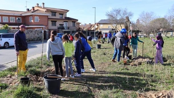 Estudiantes de Soto del Real plantan 130 árboles en una iniciativa ambiental