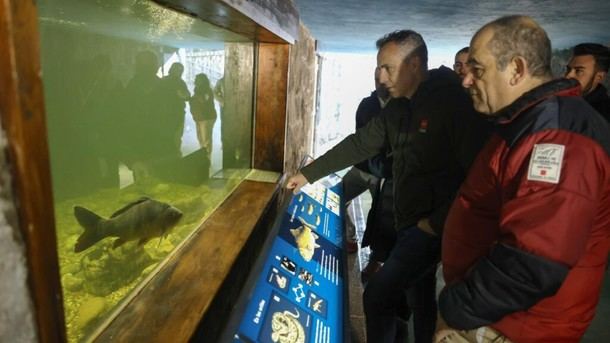 Madrid lanza iniciativa para recuperar la trucha común en Guadarrama