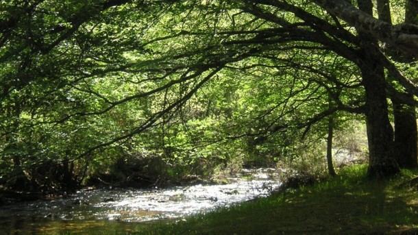 Cerca de 200 actividades gratuitas sobre biodiversidad en Madrid este invierno