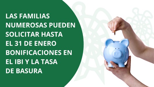 Familias numerosas tienen hasta el 31 de enero para solicitar bonificaciones fiscales