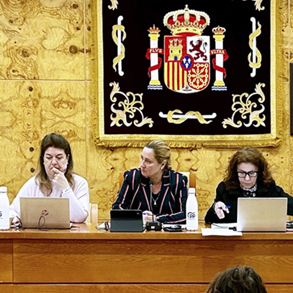 Torrelodones reduce impuestos para familias numerosas