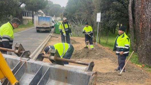 Reorganización de contenedores en La Canaleja para mejorar el reciclaje y la seguridad