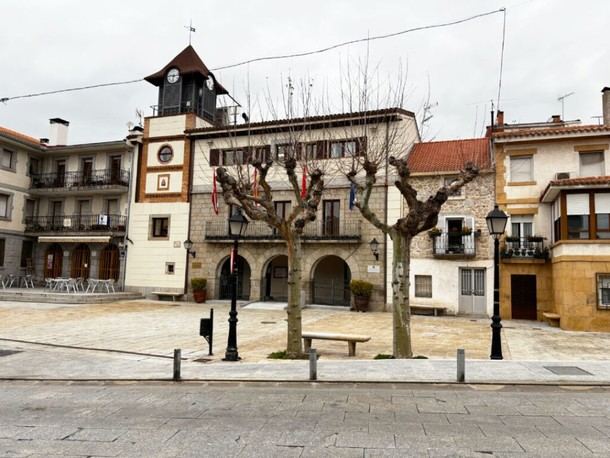 Eliminación de árboles en la Plaza Mayor de Collado Mediano