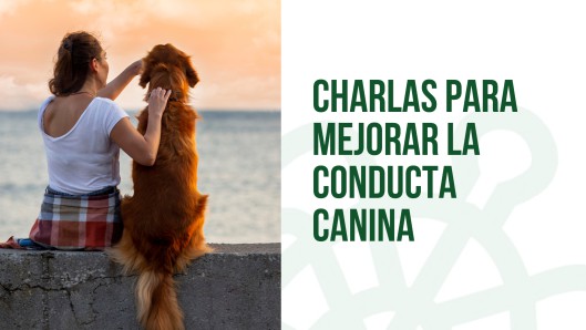 Galapagar lanza charlas para educar a dueños sobre el comportamiento canino