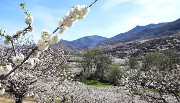 Excursión al Valle del Jerte y Yuste para mayores de Moralzarzal el 29 y 30 de marzo