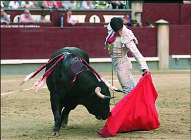 “Chechu” fue el destacado en el festejo del domingo   (Foto: las-ventas.com)