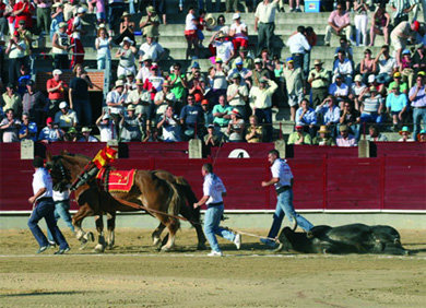 El toro “Escudero” fue premiado con la vuelta al ruedo  (Foto: Cedida)