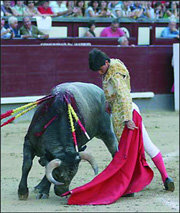 Uno de los potables novillos de Partido de Resina  (Foto: wvww.las-ventas.com)