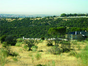 Vista del Área Homogénea Norte de Torrelodones   (Foto: ARCHIVO)