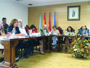 Imagen del pleno celebrado en la tarde del miércoles  (Foto:  E. P.)