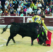 Este bravo novillo de Fuente Ymbro fue premiado  (Foto: Mayca Gordillo)