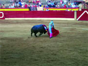 López Chaves, con el gran toro lidiado por Adolfo Martín  (Foto: G. Matamala)