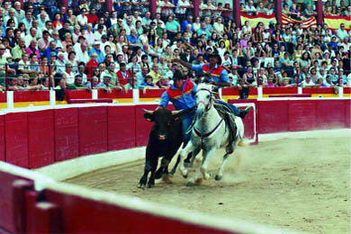 Cultura ganadera y fiesta con ‘El rodeo en su salsa’