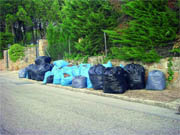 Restos de podas en una calle de Galapagar  (Foto: CEDIDA)