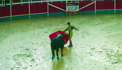 La lluvia obligó a suspender el festejo del viernes   (Foto: Gonzalo Matamala)