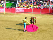 Imagen de una de las novilladas de la feria de Galapagar  (Foto: CEDIDA)