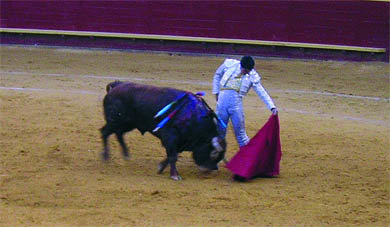 Imagen de la feria de Moralzarzal el pasado año  (Foto: ARCHIVO)