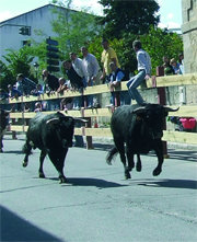 Encierros el año pasado