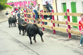 La emoción ha reinado durante estos días en los encierros de Guadarrama