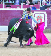 Uno de los cuajados toros novillos que se lidiaron  (Foto: ÁLVARO BLANCO)